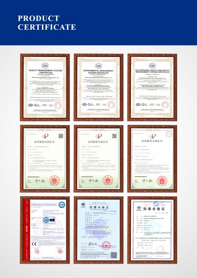 RF Capacitive Level Switch สําหรับการวัดของเหลว อุณหภูมิสูง 7